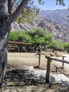 Vineyards Amidst Andean Majesty: Cafayate's Wine Country