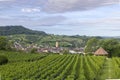 Vineyards with Arbois town, Department Jura, Franche-Comte, France Royalty Free Stock Photo