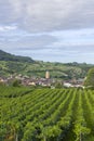 Vineyards with Arbois town, Department Jura, Franche-Comte, France Royalty Free Stock Photo