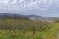 Vineyards with Arbois town, Department Jura, Franche-Comte, France Royalty Free Stock Photo