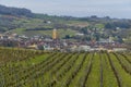 Vineyards with Arbois town, Department Jura, Franche-Comte, France Royalty Free Stock Photo