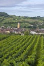 Vineyards with Arbois town, Department Jura, Franche-Comte, France Royalty Free Stock Photo