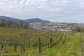 Vineyards with Arbois town, Department Jura, Franche-Comte, France Royalty Free Stock Photo