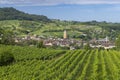 Vineyards with Arbois town, Department Jura, Franche-Comte, France Royalty Free Stock Photo