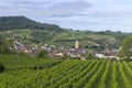 Vineyards with Arbois town, Department Jura, Franche-Comte, France