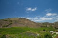 Vineyards around Bandama Royalty Free Stock Photo