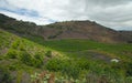 Vineyards around Bandama Royalty Free Stock Photo