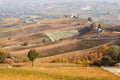Vineyards in autumn and hills landscape in Barolo, Italy Royalty Free Stock Photo