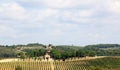 Vineyards in Badia di Passignano, Tuscany, Italy Royalty Free Stock Photo