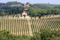 Vineyards of Badia di Passignano, Tuscany, Italy Royalty Free Stock Photo