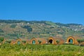 Vineyards with barrel like cabins in Douro Valley in Portugal Royalty Free Stock Photo