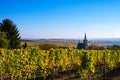 Vineyards and the basilica of Kiedrich Royalty Free Stock Photo