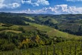 Vineyards on the beautiful hills in the Langhe area of Barbaresco in Piedmont Italy on the Meruzzano side