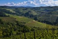 Vineyards on the beautiful hills in the Langhe area of Barbaresco in Piedmont Italy on the Meruzzano side