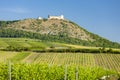 vineyards, castle Devicky, Palava, Moravia region, Czech Republic Royalty Free Stock Photo