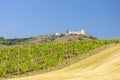 vineyards, castle Devicky, Palava, Moravia region, Czech Republic Royalty Free Stock Photo