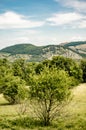 Vineyards, castle Devicky, Palava, Moravia region, Czech Republic. romantic ruin in Palava and Devin highest mountain of Pavlov Hi Royalty Free Stock Photo