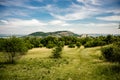 Vineyards, castle Devicky, Palava, Moravia region, Czech Republic. romantic ruin in Palava and Devin highest mountain of Pavlov Hi Royalty Free Stock Photo