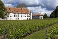 Vineyards - Chateau Allaman - Switzerland