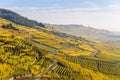 Vineyards at Chateau de Kaysersberg - alsace in France - travel destination in Europe