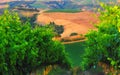 Vineyards in Chianti