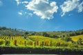 Vineyards in Chianti Tuscany under a blue sky with white clouds Royalty Free Stock Photo