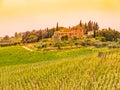 Vineyards of Chianti. Warm sunset in beautiful Tuscan landscape, Italy Royalty Free Stock Photo