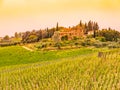 Vineyards of Chianti. Warm sunset in beautiful Tuscan landscape, Italy