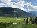 Vineyards in Chomoson, Valais, Switzerland