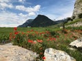 Vineyards in Chomoson, Valais, Switzerland