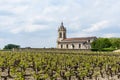 Vineyards in the village of Margaux, in Medoc, France