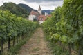 Vineyards and church, Wachau Valley, Spitz, Austria