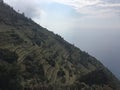 Vineyards in Cinque Terre