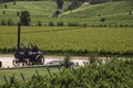 Vineyards - Colchagua Valley - Chile