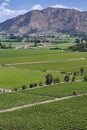 Vineyards in the Colchagua Valley - Chile Royalty Free Stock Photo