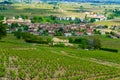 Vineyards and countryside in Beaujolais, with the village Saint-Lager