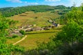 Vineyards and countryside, from the Rock of Solutre, Burgundy