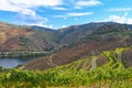 Landscape of the Douro river valley, Portugal