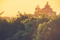 The vineyards in the district of Nieva (Segovia, Spain). White wines of the highest quality grapes, belonging to Rueda Designation