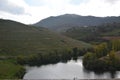 Vineyards in the Douro Valley in Portugal