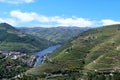 Vineyards in Douro Valley. Porto Wine. Royalty Free Stock Photo