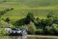 Vineyards and Dutch ship on the Moselle, Germany Royalty Free Stock Photo