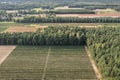 Vineyards in Dworzno village, Poland