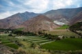 Vineyards of the Elqui Valley, Andes part of Atacama Royalty Free Stock Photo