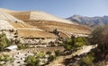 Elqui Valley. North of Chile Royalty Free Stock Photo