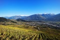 Vineyards in fall coulours