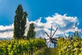 Vineyards famous Austria destination wine street in south Styria in summer. View at windmill on grape hill