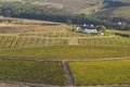 Vineyards with farmhouse landscape