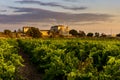 Vineyards and farmhouse in background in Marsala in Sicily, Italy