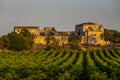 Vineyards and farmhouse in background in Marsala in Sicily, Italy